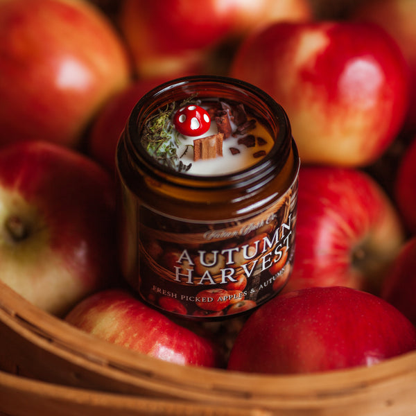 AUTUMN COTTAGECORE Box Extras